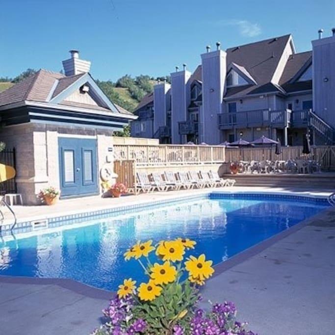 Blue Mountain Suites Blue Mountains Kültér fotó
