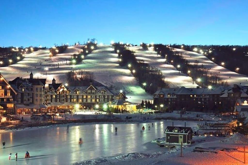 Blue Mountain Suites Blue Mountains Kültér fotó