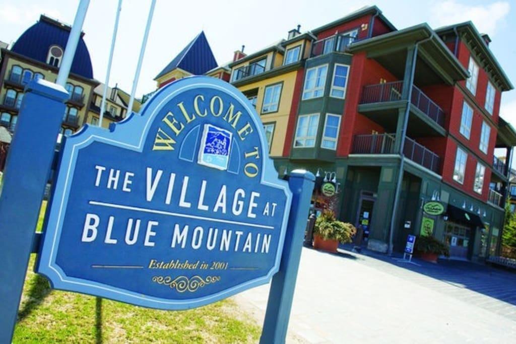 Blue Mountain Suites Blue Mountains Kültér fotó
